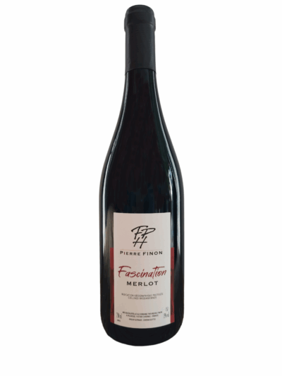 I.G.P. MERLOT - Fascination 2024